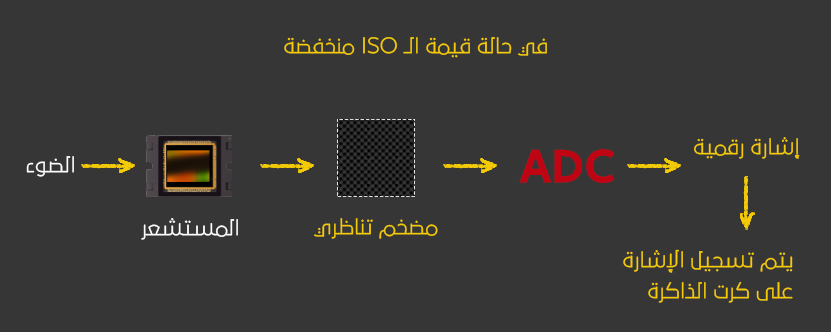 ماهو مصطلح Dual ISO) Native ISO) في التصوير السينمائي