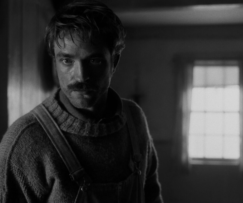 تقنيات في الإضاءة: الأنف وإضاءة الباك لايت - Backlight