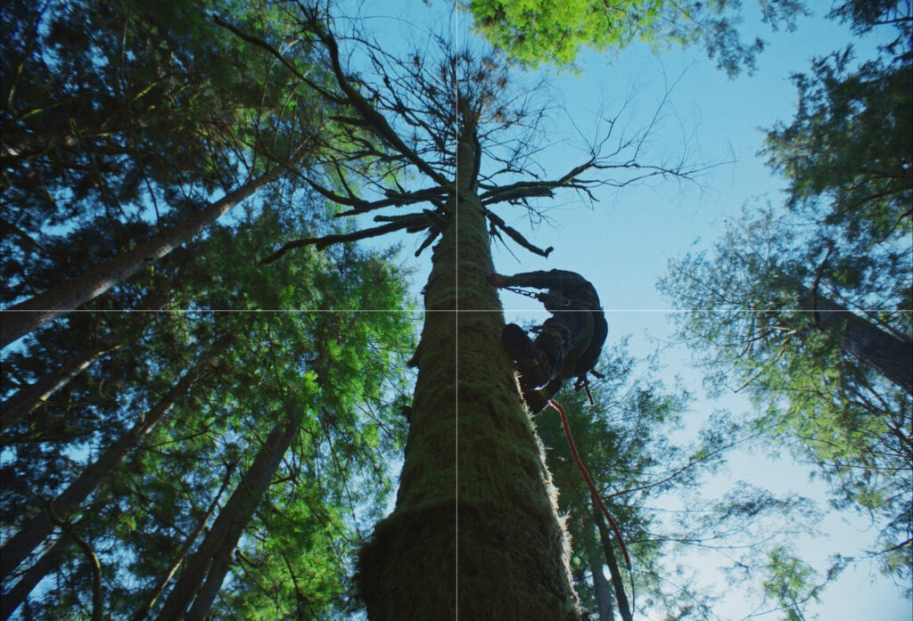 Train Dreams: دراسة في أبعاد التكوين والدلالة